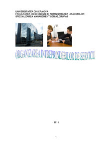 Organizarea întreprinderii de servicii - Pagina 1