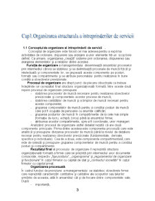 Organizarea întreprinderii de servicii - Pagina 3