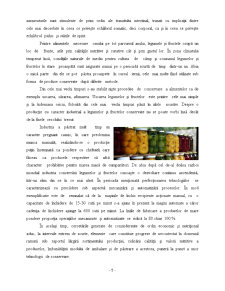 Linia tehnologică pentru conservare prin deshidratare a fructelor și legumelor - Pagina 5