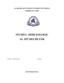 Studiul Merceologic al Spumei de Păr - Pagina 1