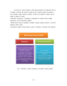 Procedee și Tehnici de Control Financiar Controlul Documentar - Pagina 4