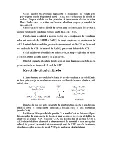 Biochimie - Ciclul Acizilor Tricarboxilici - Krebs - Pagina 4