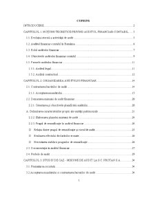 Abordări conceptuale și practici specifice de audit - Pagina 1