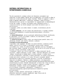 Sistemul Informational al Întreprinderii Comerciale - Pagina 1
