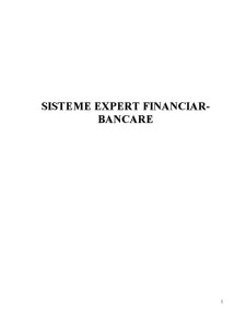 Sisteme Expert Financiar-Bancare - Pagina 1