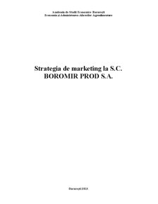 Strategia de Marketing la SC Boromir Prod SA - Pagina 1