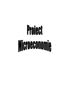 Proiect Microeconomie - Pagina 1