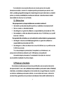 Plan de Afaceri - SC Panito SRL - Pagina 4