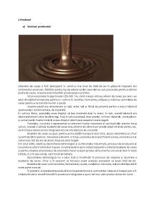 Proiect marketing - piața ciocolatei - Pagina 3
