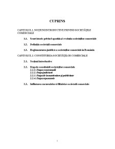 Constituirea societăților comerciale - Pagina 2