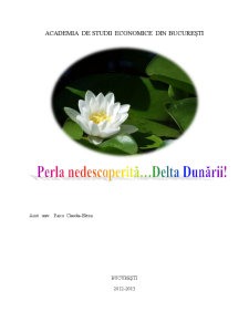 Planul unei campanii de relații pulice - Delta Dunării - Pagina 1