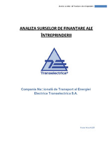Analiza surselor de finanțare ale întreprinderii Transelectrica SA - Pagina 1