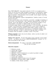Plan de Marketing - Ceaiuri Naturiste - Pagina 4
