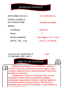 Auditul sistemelor informatice - SC Europe SA București - Pagina 2
