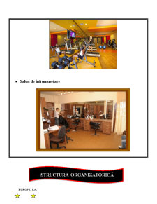 Auditul sistemelor informatice - SC Europe SA București - Pagina 5