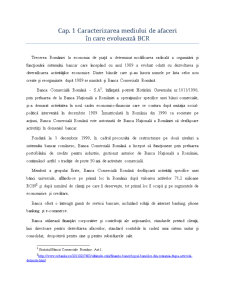 Guvernanța corporativă a BCR - Pagina 3