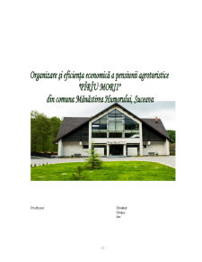 Organizare și eficiența economică a pensiunii agroturistice Piriu Morii din Comuna Mânăstirea Humorului, Suceava - Pagina 1