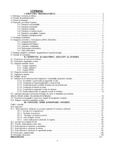 Monografia contabilă - contabilitatea cheltuielilor și veniturilor în unitățile de învățământ - Pagina 3