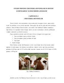 Studiu privind creșterea bovinelor în sistem gospodăresc și descrierea bolilor apărute - Pagina 1