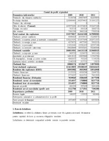 Situația financiar-contabilă a SC Albalact SRL - Pagina 2