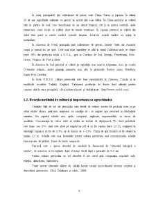 Agrochimie - Piersicul - Pagina 5