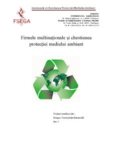 Firmele multinaționale și chestiunea protecției mediului ambiant - Pagina 1