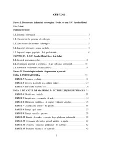 Audit - studiu de caz SC Arcelormittal SA Galați - Pagina 1