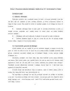 Audit - studiu de caz SC Arcelormittal SA Galați - Pagina 3
