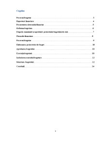Structura Finanțelor și Procesul Bugetar - Pagina 2