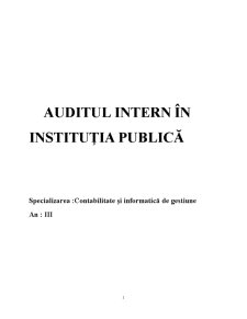 Audit intern în instituția publică - Pagina 1