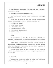 Strategia de Marketing Kandia - Pagina 3