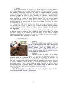Amestecuri de Materiale Organice pentru Creșterea Plantelor în Spații Protejate - Pagina 5