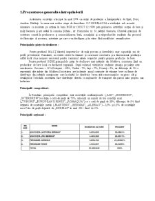 Analiza surselor de finanțare ale întreprinderii SC Bermas SA - Pagina 3