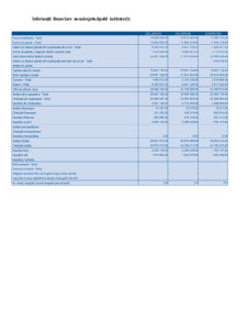 Analiza surselor de finanțare ale întreprinderii SC Bermas SA - Pagina 4