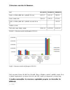 Analiza surselor de finanțare ale întreprinderii SC Bermas SA - Pagina 5