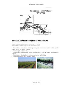Stațiunea de Cercetare-Dezvoltare pentru Viticultura și Vinificație Murfatlar - Pagina 4