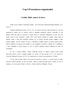 Proiect de Practica - BCR Botosani - Pagina 5