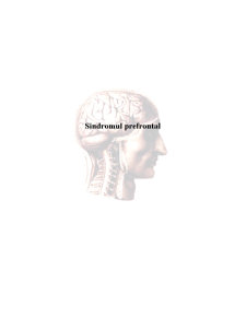 Sindromul Prefrontal - Pagina 1