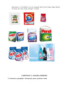 Analiza pieței unui produs - piața detergenților de rufe - Pagina 5