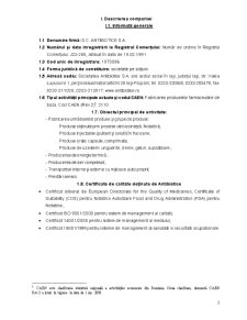 Analiză Financiară Aplicată pentru Cazul Companiei Antibiotice Iași - Pagina 3