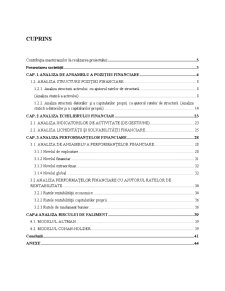 Raportare și analiza financiară - analiza situației financiare a SC Aerostar SA - Pagina 2