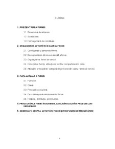 Practică Intesa Sanpaolo Bank - Pagina 2