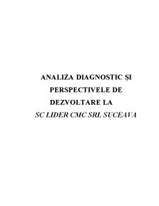 Analiza Diagnostic și Perspectivele de Dezvoltare la SC Lider CMC SRL Suceava - Pagina 1