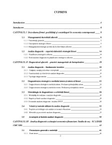 Analiza Diagnostic și Perspectivele de Dezvoltare la SC Lider CMC SRL Suceava - Pagina 2