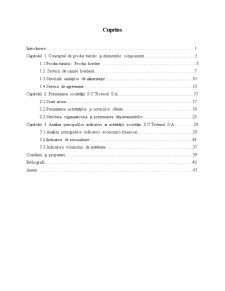 Analiza elementelor componente ale produsului hotelier - Pagina 3