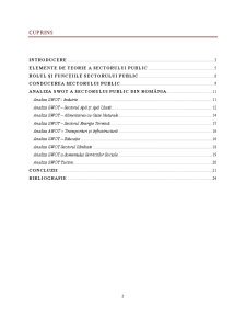 Analiza SWOT a Sectorului Public din România - Pagina 2