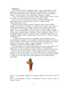 Sucul de tomate - Pagina 4