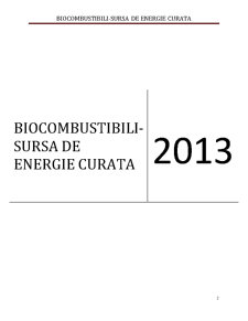 Biocombustibili - Pagina 2