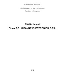 Studiu de Caz Midane Electronics - Pagina 1