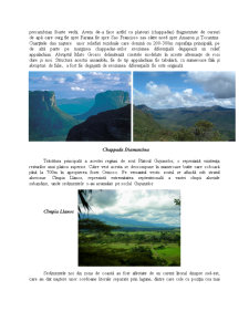 Medii Intertropicale Brazilia - Pagina 2